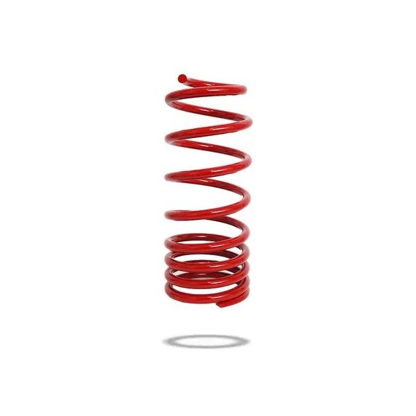 Ressort Arrière HD PEDDERS TrakRyder Toyota LC250/300